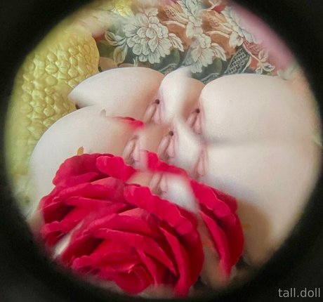 tall doll star adult photos