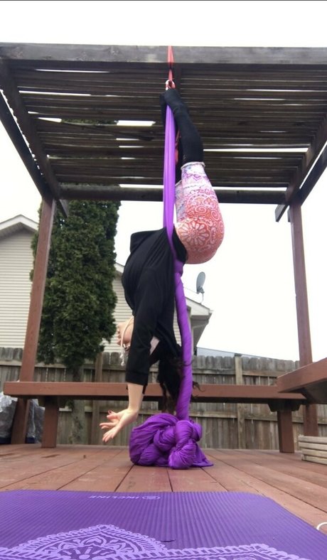 flexiblefun star art gallery