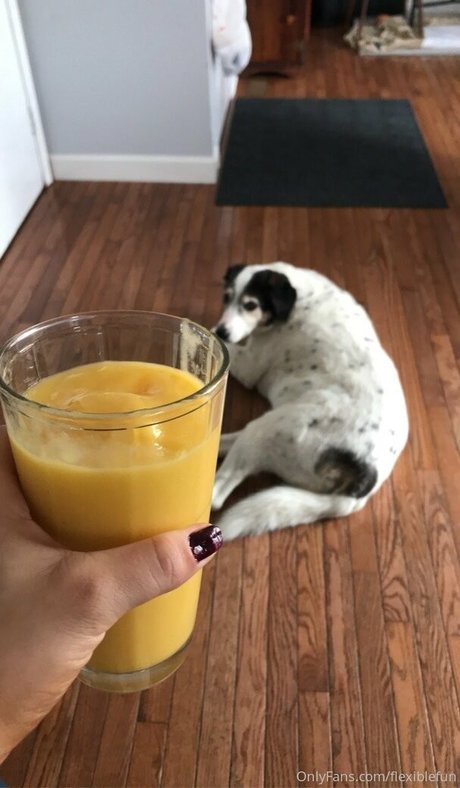 flexiblefun hot pornstar galleries