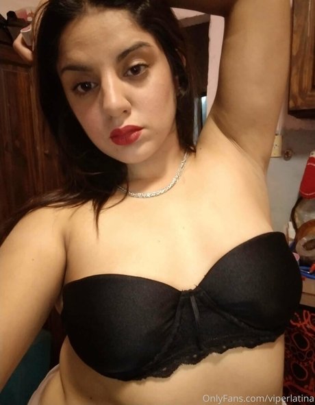 viperlatina model best image