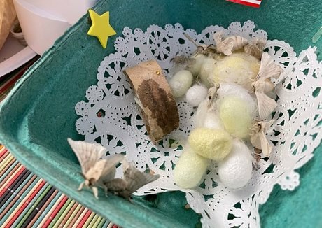 cindymoon7 best model image