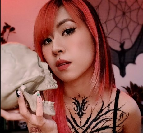 blackfaune sex star images