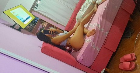 delfifoxyb star pretty archive