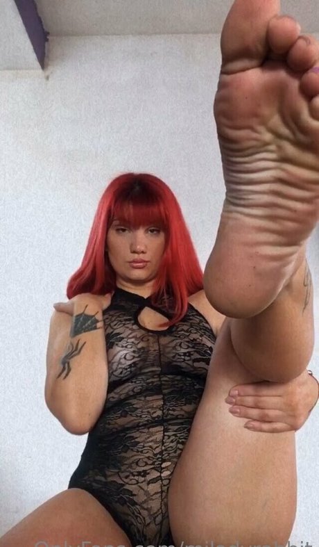 miladyrabbit star art img