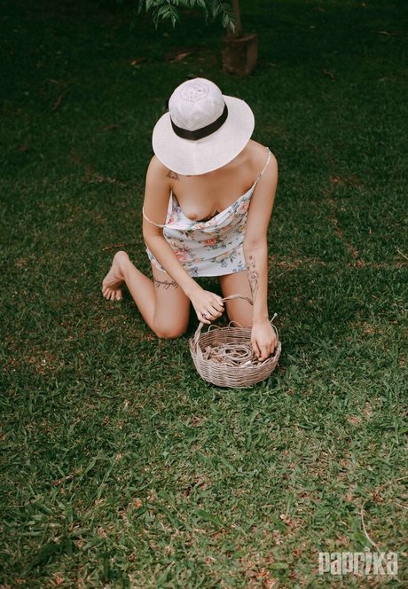 Paprika top star gallery