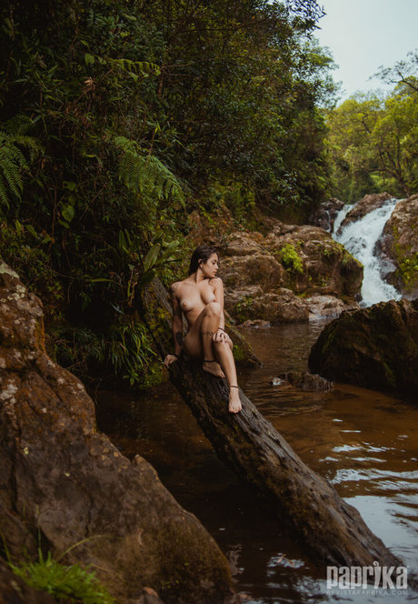 Paprika high quality star archive