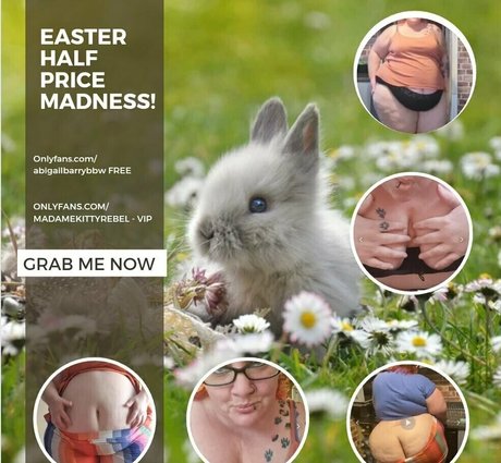 abigailbarrybbw sex star images