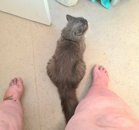 blowjob swallow onlyfans hot nude gallery