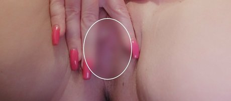 nikkirear star free photo