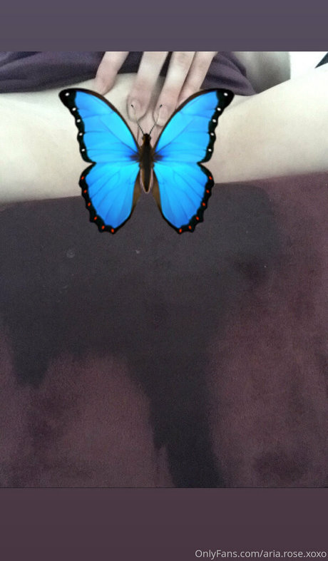 aria rose xoxo pornstar pretty archive