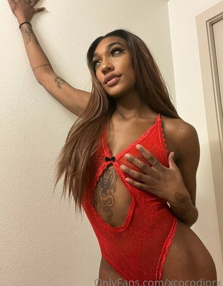xcocodiorx nudes model gallery