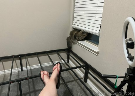 tj footie art star images