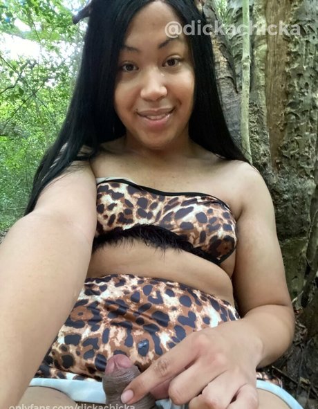 dickachicka hd pornstar images