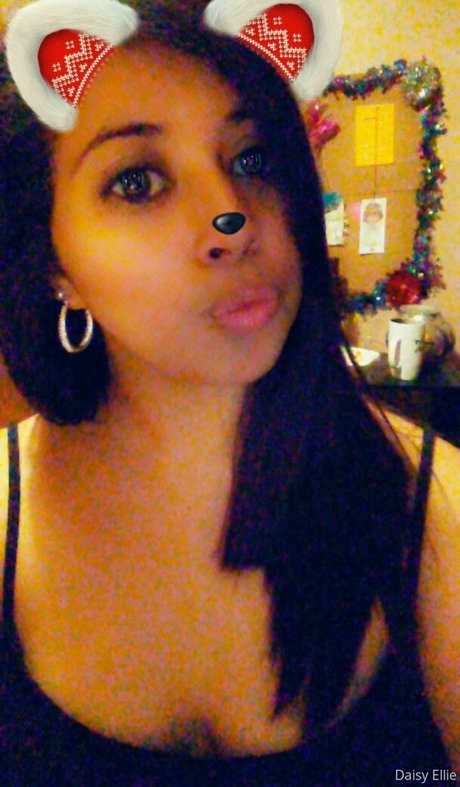 devilishdaisy star beautiful galleries