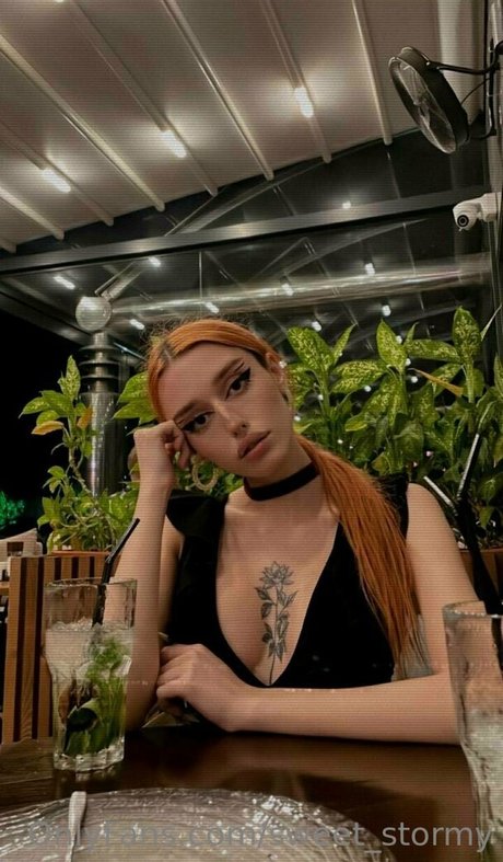 stormy bunny top model gallery