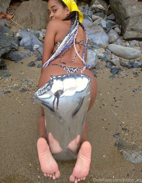 kittnsoles free pornstar gallery