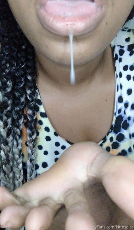 kittnsoles star free photo