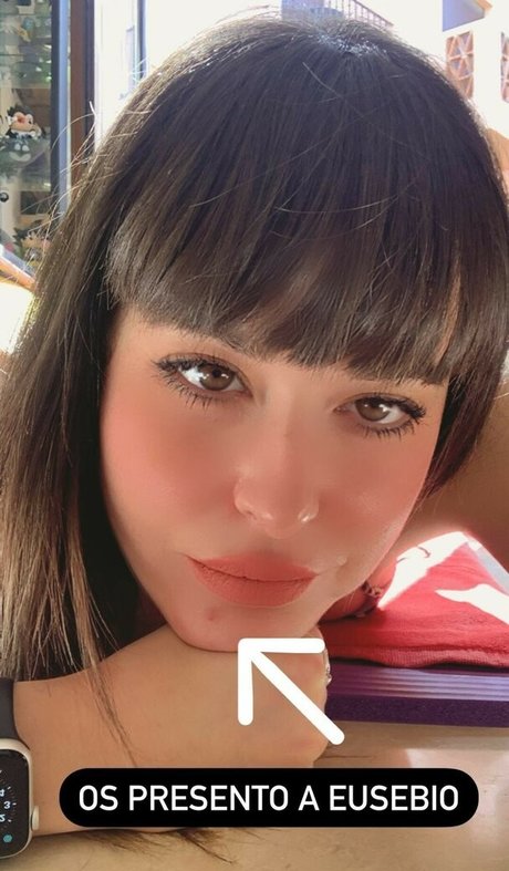 Pettans high quality star gallery