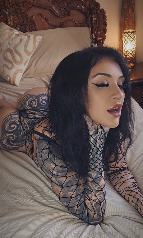 kayleighgibby star pornographic photo