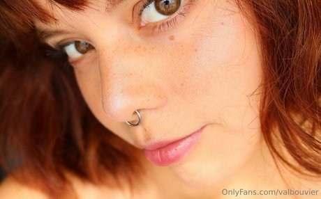 valbouvier art star img