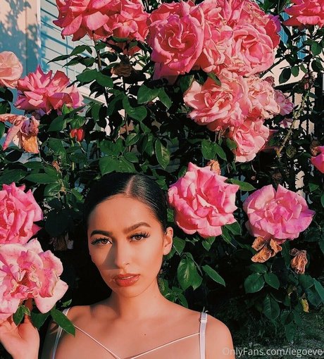 evalego2 high quality model images