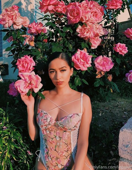 pawg thick onlyfans beautiful naked photos