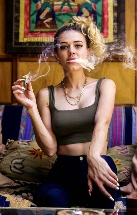 Koala Puffs star high quality img