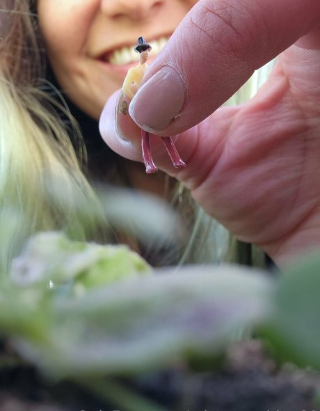 mistysunshine00 hot actress photos