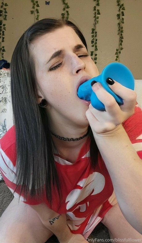 blisscatalog exclusive pornstar galleries