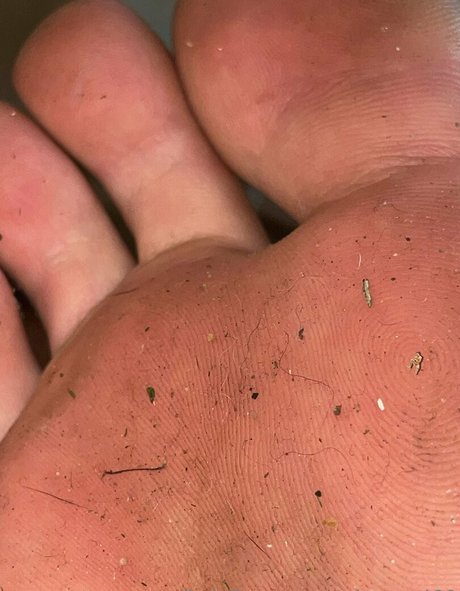 gigagod69 star high quality picture