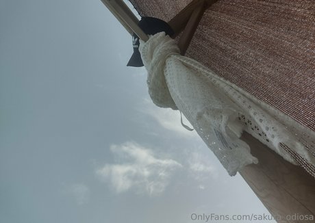 sakura odiosa star best image