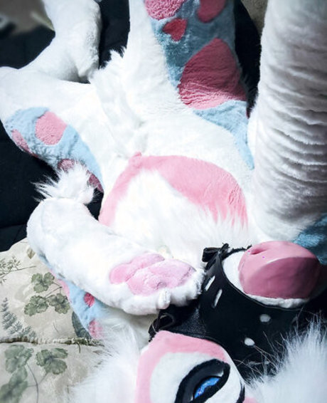 Murrsuit sexy pornstar gallery