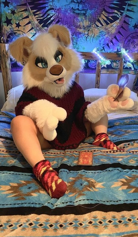 Murrsuit model pornographic pics