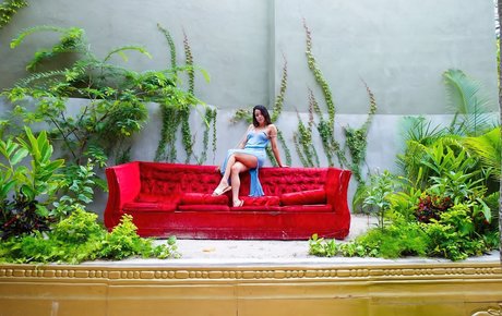 jenhearts247 porn actress galleries