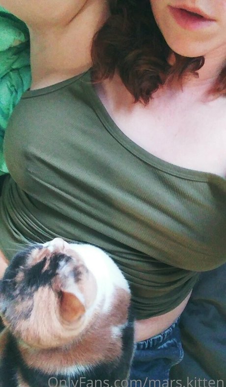 mars kitten star pretty gallery