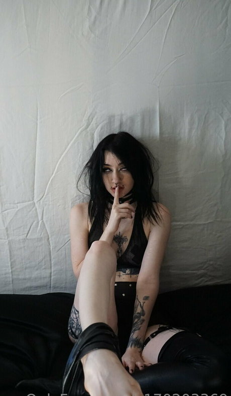 domtrickzz Profile pic