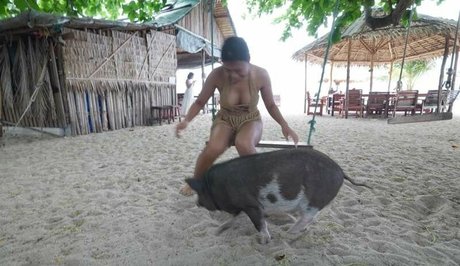 Its Me Sai perfect star pics