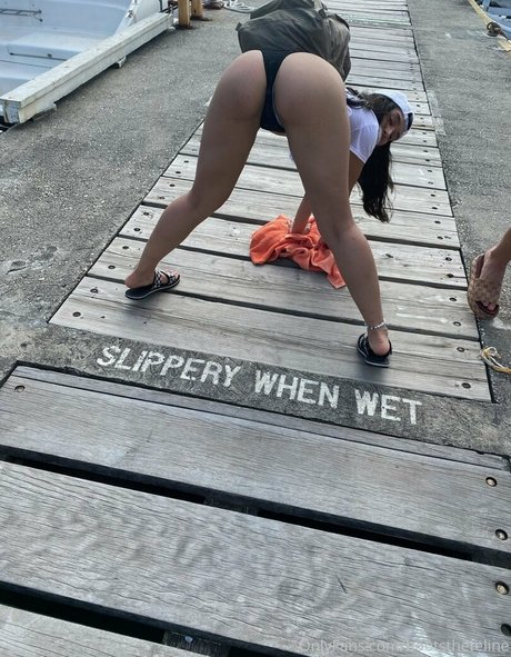 bootsthefeline star xxx gallery