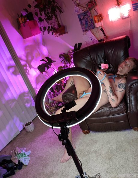brainwashedpet pornstar xxx galleries