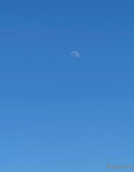 katemodelo adult star pictures