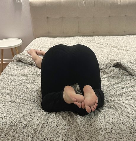 Alknwt art star gallery