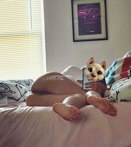 vixxypup star beautiful galleries