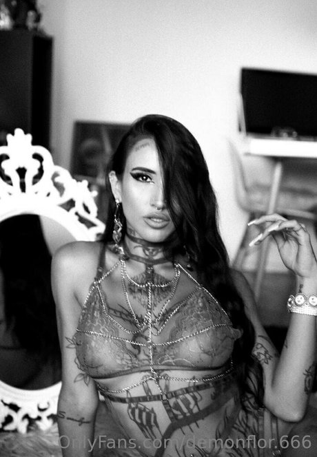 demonflor 666 model top image