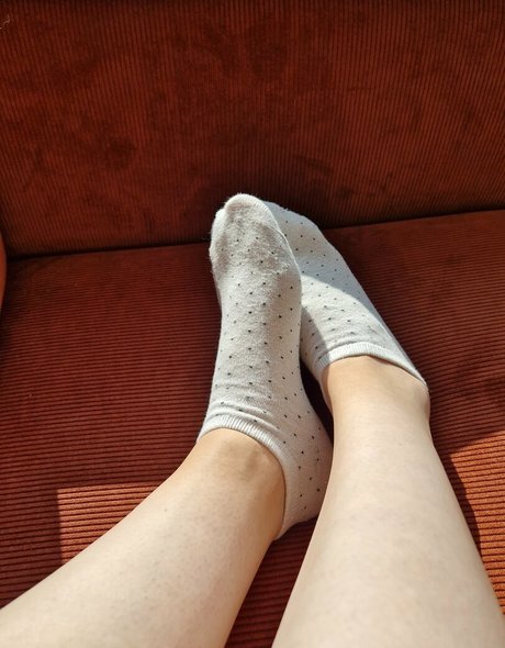 favlibrarian pornstar top pics