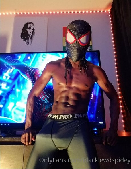 blacklewdspidey model art image