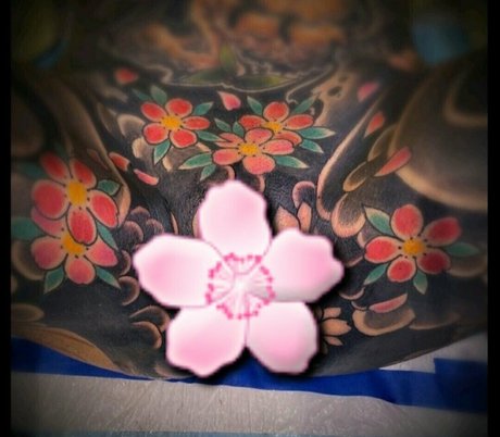 prismofdeath art model galleries