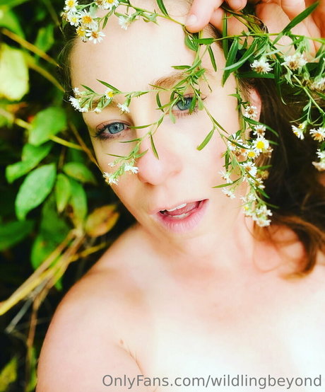 wildlingbeyond high quality star images