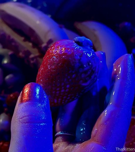 thatkitten2 star porn galleries