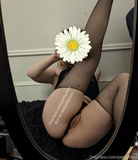 pettanhon model top pic