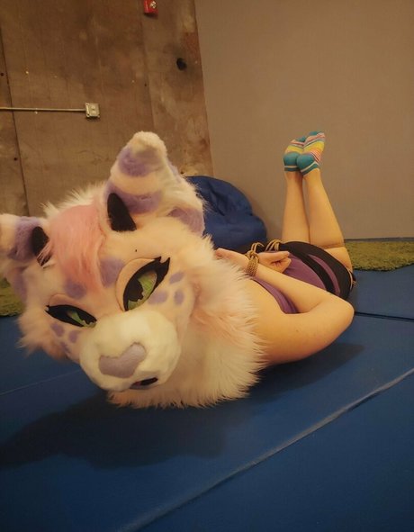 kinkypinkkitty pornographic actress pics